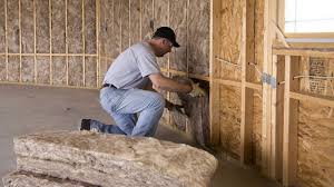 Best Basement Insulation  in Cao, ND