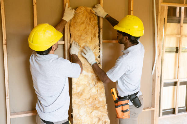 Eco-Friendly or Green Insulation Solutions in Cando, ND