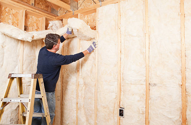 Best Spray Foam Insulation  in Cao, ND