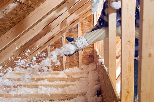 Best Garage Insulation  in Cao, ND