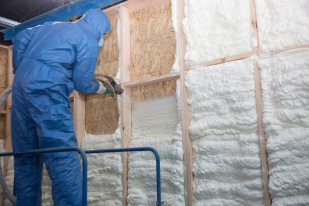 Best Insulation for Existing Homes  in Cao, ND